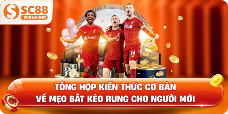 Tổng hợp kiến thức cơ bản về mẹo bắt kèo rung cho người mới